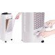 Honeywell TC10PCEI Air Cooler 40W 85152 Honeywell TC10PCEI Air Cooler 40W 85152